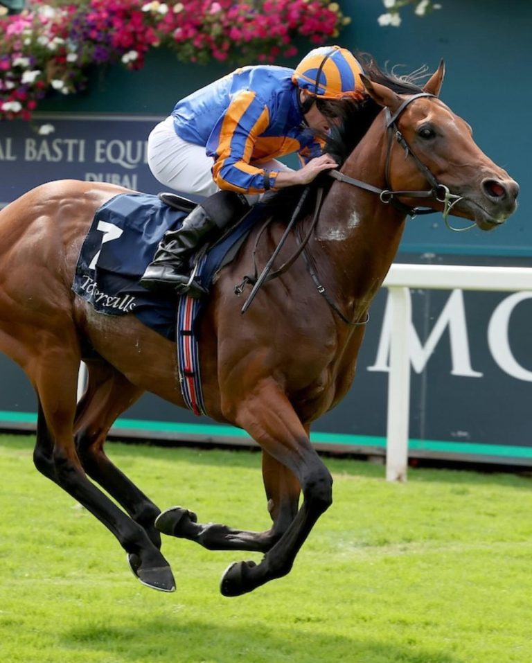 Your 2025 Guide to the Most Luxurious UK Horse Racing Calendar – Where Fashion, Fine Dining & High Stakes Collide